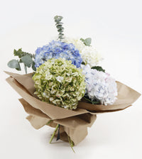 Thumbnail for Cotton Candy™ Mixed Hydrangea Bouquet