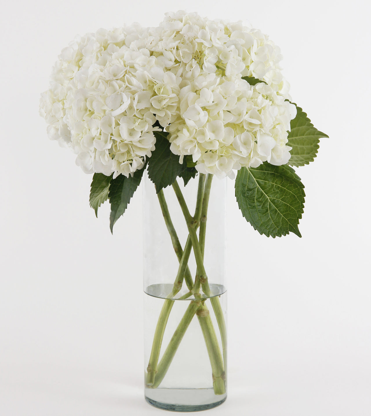 Ivory Hydrangea Bouquet™