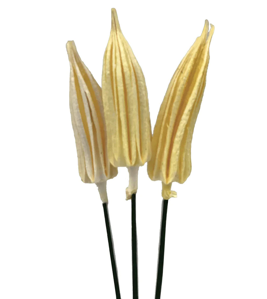 Chilli Pick Preserved™