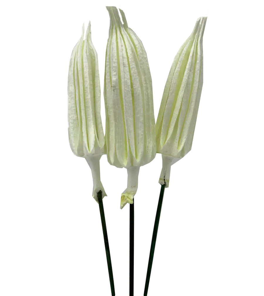 Chilli Pick Preserved™