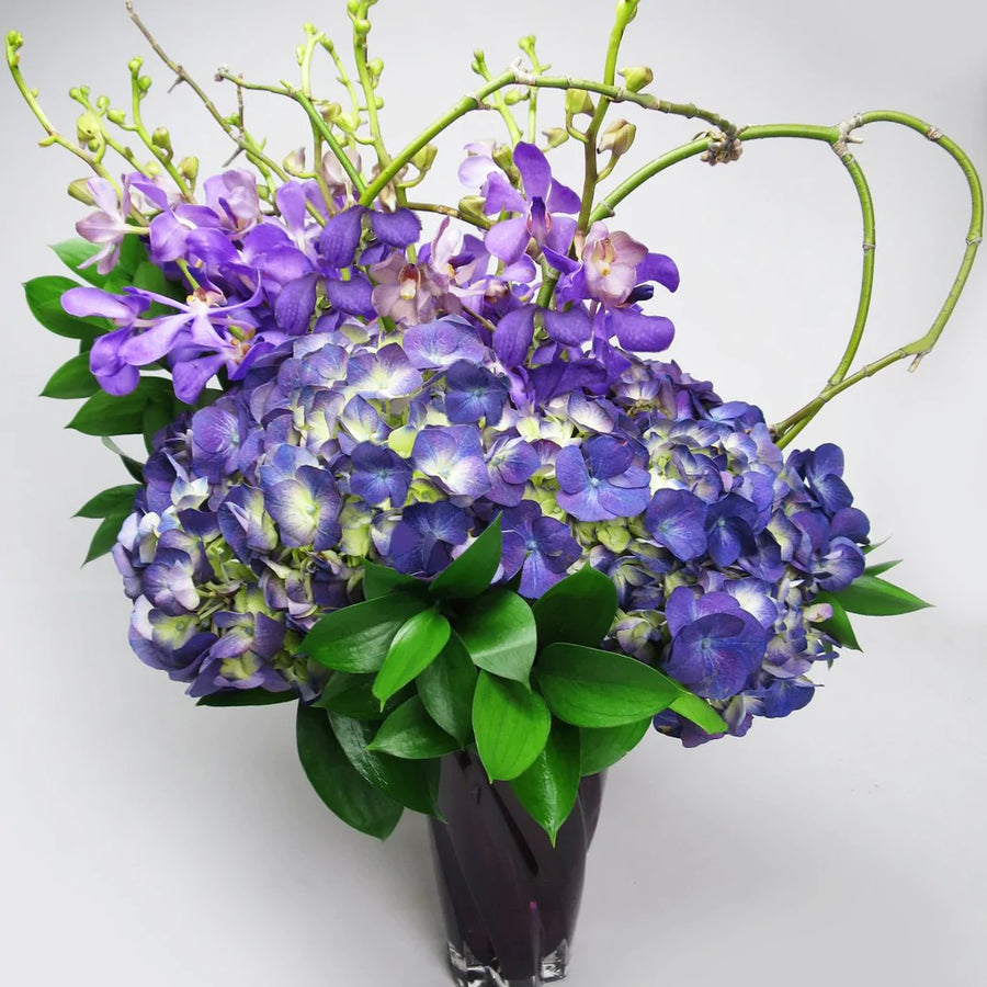 Mokara & Hydrangeas™ Arrangement