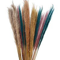 Thumbnail for Pampas Grass™
