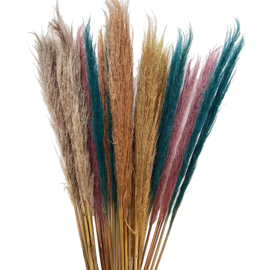 Pampas Grass™