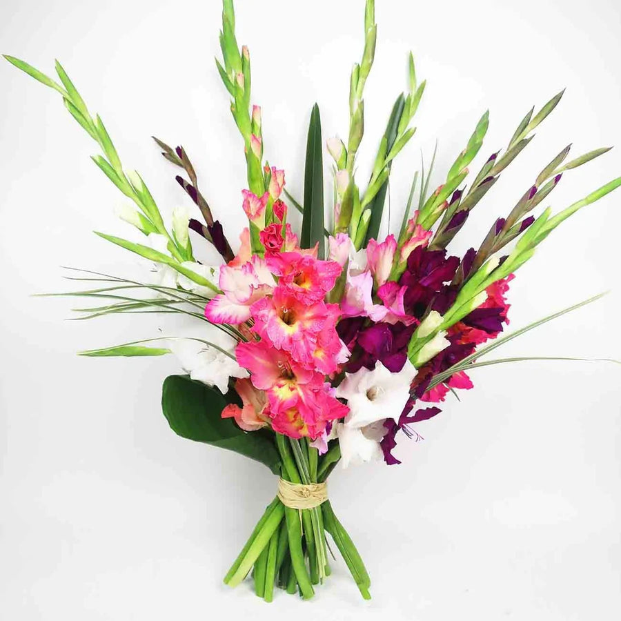 Rainbow Gladiolus™ Bouquet