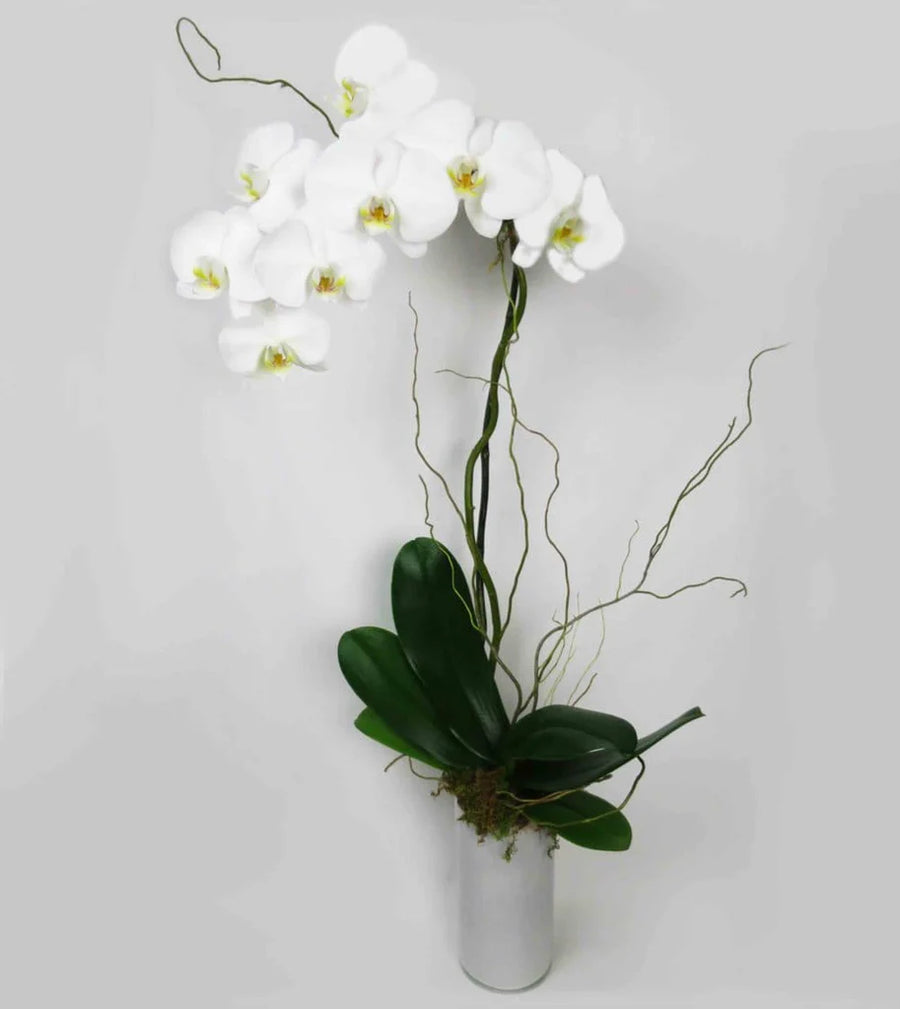 White Orchid Planter™